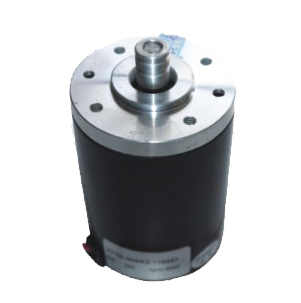 Big servo motor